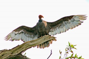 picture book art activity, MPC 2005 (In You)