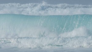 xp3-dot-us_DSC_6000 (You are “gods”; you are all sons of the Most High.)